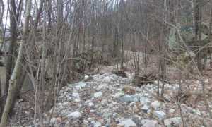 197288646 1497672033911017 6201883717667559200 n