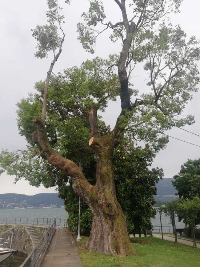 197948435 3908472705927542 5240239036704262977 n