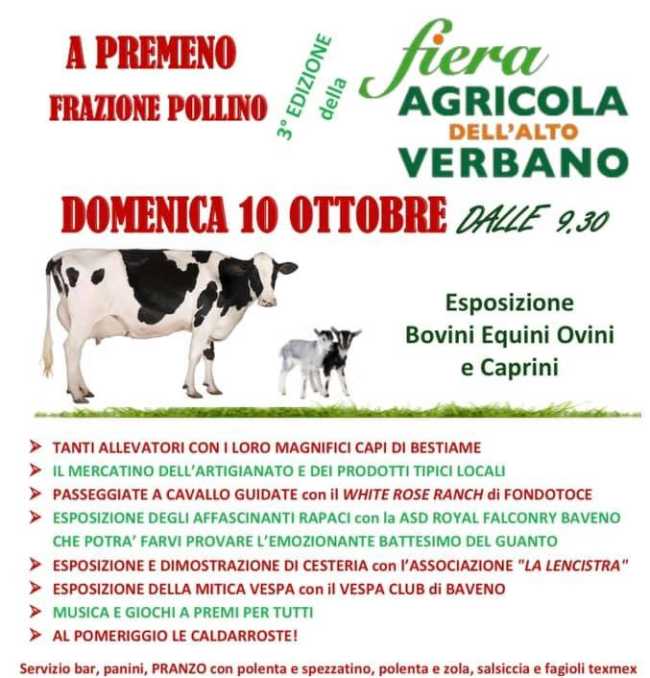 243839747 4331849680185562 3631713802479213276 n