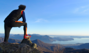 258414362 958234148124032 4473645223685705301 n