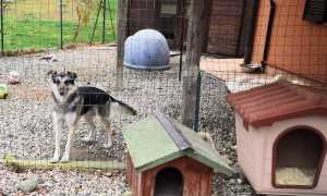 266503582 1761463147382141 9040203244920494768 n