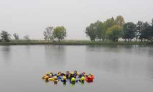 311020096 392498869757027 753990284027339529 n