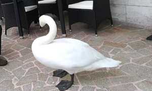 43692030 2308899779396301 6178605210311589888 n