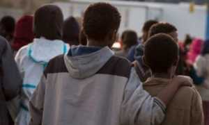 4bd4d8c70c1694545d9c8c34589501ee XL