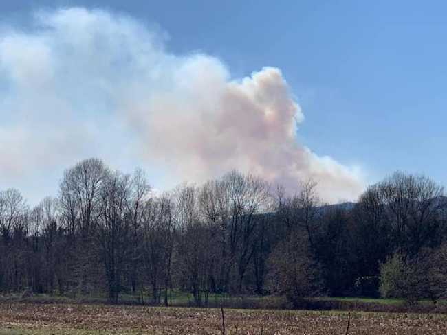 55664441 2353613864662879 6096003583231131648 n