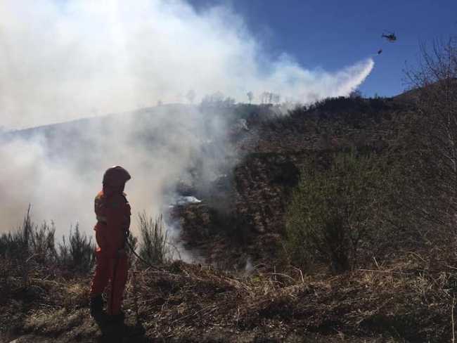 55887747 2353613754662890 7142533989092294656 n