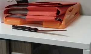 64389864 2327817060839879 4504974038380052480 o