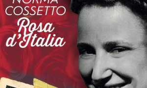 FB IMG 1610140168711