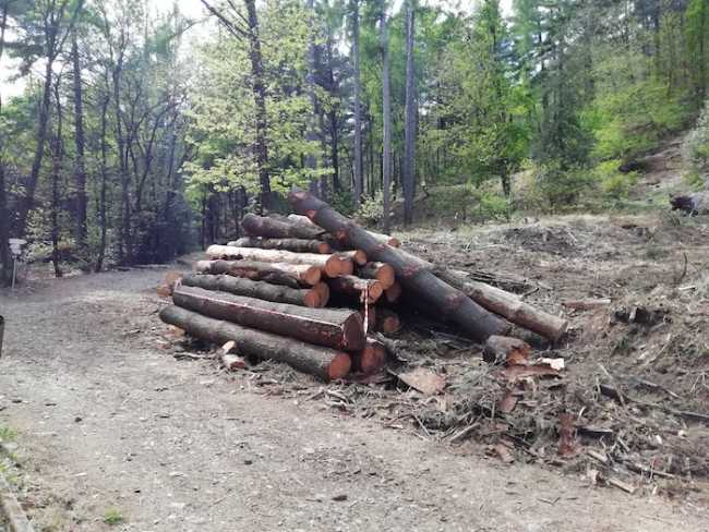 IMG 20190421 150726 copia