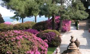 Isola Bella Parterre delle azalee