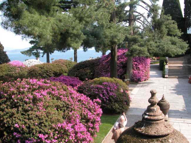 Isola Bella Parterre delle azalee