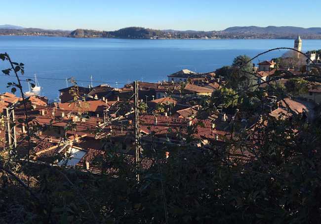 Lesa viista alto rovi