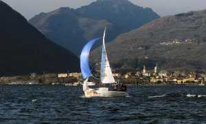 MicroMaggiore Record 2019 1