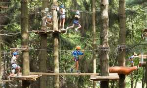 Mottarone Adventure Park 4169 LR