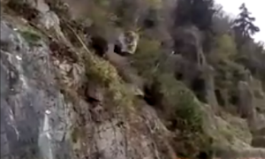 Schermata 2019 04 11 alle 19.56.30