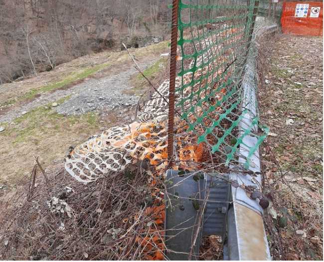 Schermata 2021 03 08 alle 11.17.36