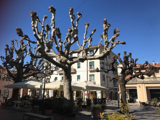 Schermata 2021 03 22 alle 09.33.37