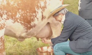 Schermata 2021 08 06 alle 16.42.17