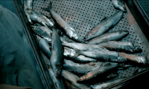 Schermata 2022 02 21 alle 16.52.52