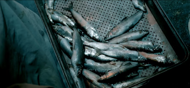 Schermata 2022 02 21 alle 16.52.52