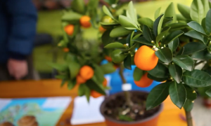 Schermata 2023 03 07 alle 11.11.34