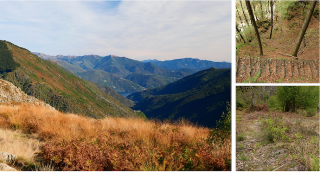 Schermata 2024 10 01 alle 10.16.41