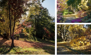 Schermata 2024 10 04 alle 09.57.06