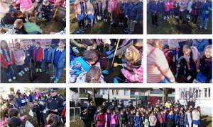 Schermata 2024 11 27 alle 16.33.11