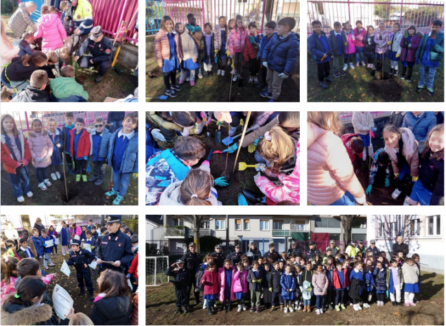 Schermata 2024 11 27 alle 16.33.11