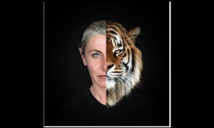 Schermata 2025 03 14 alle 07.59.06