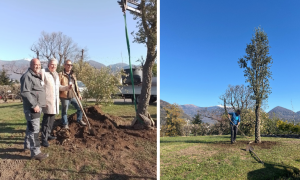 Schermata 2025 03 28 alle 12.54.22