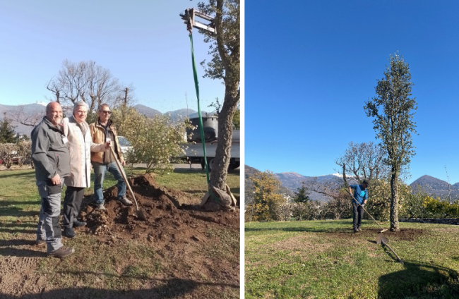 Schermata 2025 03 28 alle 12.54.22