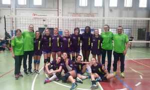 VegaOcchialiRosaltiora BearWool