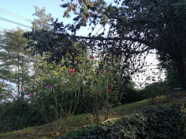 WhatsApp Image 2018 10 18 at 10.50.13