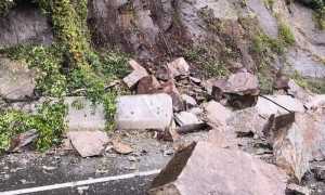 WhatsApp Image 2018 11 06 at 10.47.56 copia