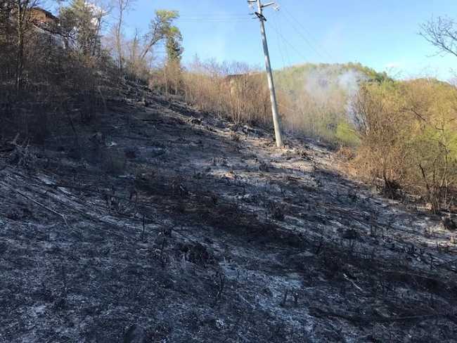 WhatsApp Image 2019 04 23 at 09.06.43