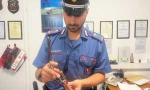 WhatsApp Image 2024 09 06 at 13.02.04