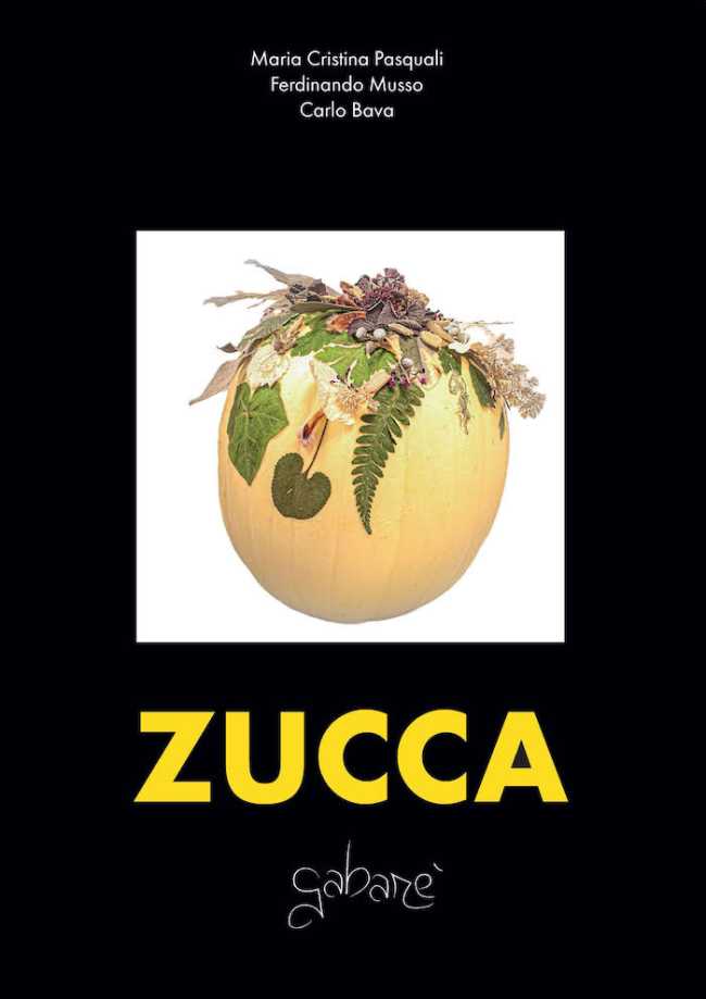 ZUCCA COPERTINA