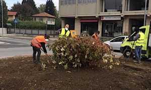 arona rotonda studenti lesa