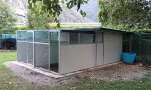 canile ago 17 f toce