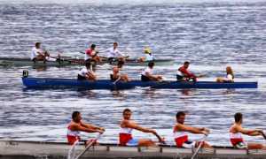 canottaggio fisso generica dic 2019