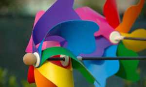 colore girandole vento