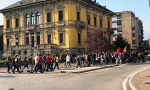 corteo vbus