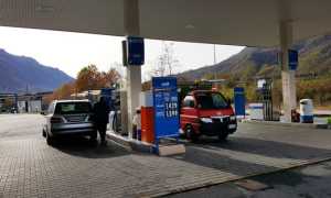 distributore campone