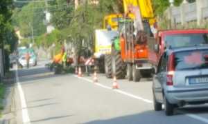 ghiffa ss34 lavori piante 1701