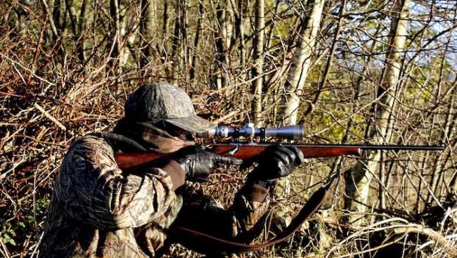 hunting 3781222 960 720