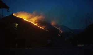 inc apr 17 cannobina