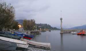 intraportciuolo copia