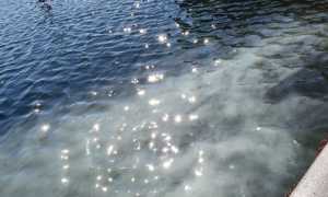 lungolago intra scia bianca 2020