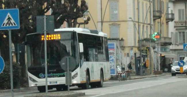 mameli bus